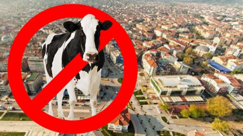 Yalova Karantinaya Alındı