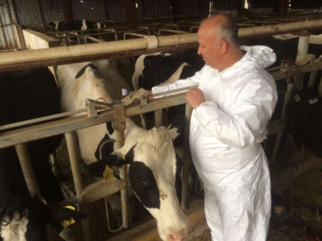 Şap Hastalığı Kontrol Altına Alındı