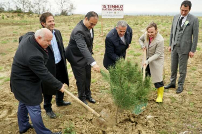 Yalova Üniversitesi’ne 100 Yeni Ağaç Fidanı