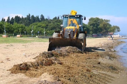Kıyaya Vuran Yosunlar Temizlendi