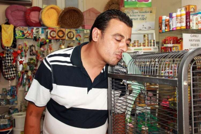 Evcil Hayvanları Sıcaktan Koruyun