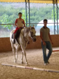 Atlara İlgi Her Geçen Gün Artıyor