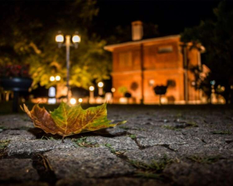 Yalova Fotoğrafları Suwon’da Sergilendi