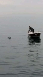 Balıkçı Ağlarına Takılan Martının İmdadına Polis Yetişti