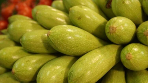 Kabak Zam Şampiyonu Oldu