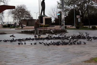 Yalovalı Taksiciler Kuşlara Sahip Çıktı