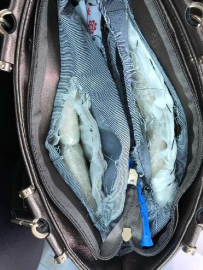 2 Kilo Baz Morfin Yakalandı