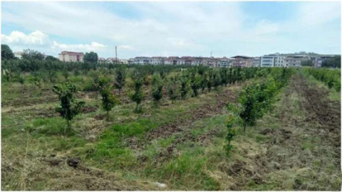 Bursa HKM’den Millet Bahçesi Açıklaması