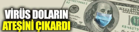 Korona Virüs Sonrası Dolar Fiyatları ve Türkiye Ekonomi Piyasaları
