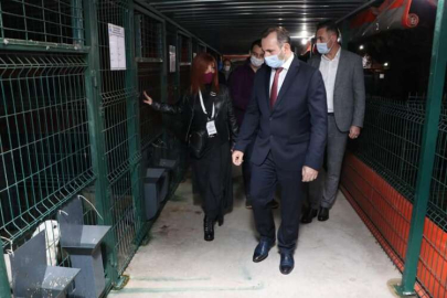 Hayvanseverlere Çalışmaları Anlattı