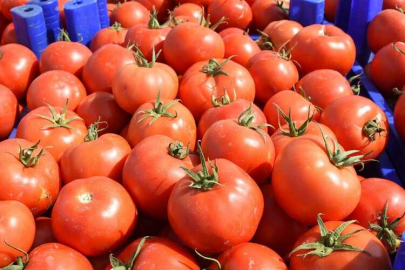 Kasımın Zam Şampiyonu Domates