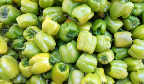 Dolmalık Biber Zam Şampiyonu