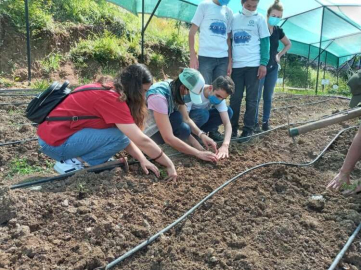 Gençler Endemik Bitki Diktiler