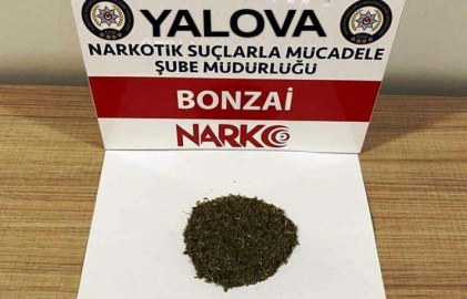 Uyuşturucuya Darbe Üstüne Darbe