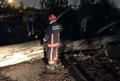 Altınova’da Fırtına Ağaçların Devrilmesine Neden Oldu