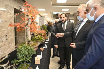 “Yalova Bonsai’nin Merkezi Olacak”