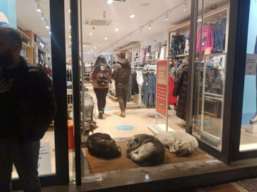 Yürek Isıtan Görüntü