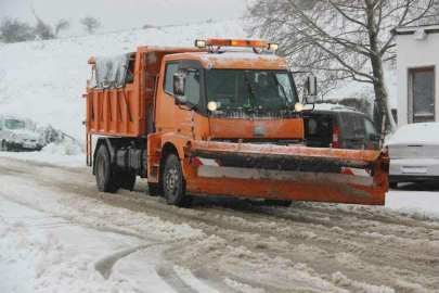 Turuncu Karıncaların Kar Mesaisi