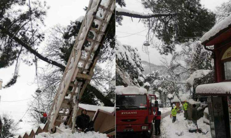 Kırılan Ağaç Dallarına Güvenlik Amaçlı Budama