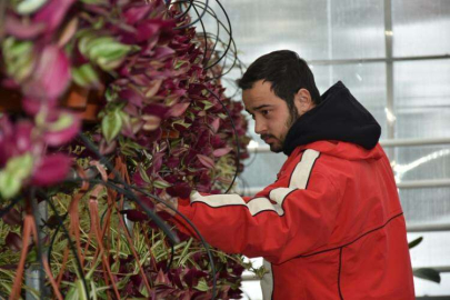 Her Mevsim Üretim Yapılıyor