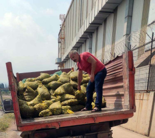 Yasadışı Midye Avcılığına Şok Operasyon