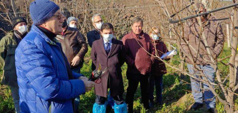 Subaşılı Üreticilere Budama Eğitimi