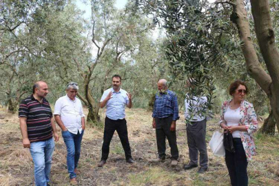Zeytin Üreticilerine, “Zararlı” Eğitimi