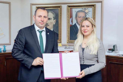 Safran Deresi Islah Edilecek