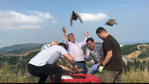 850 Keklik Doğa İle Buluştu