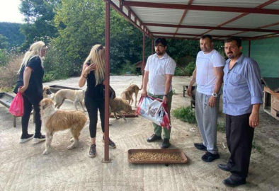 Toplanan Kuru Mamalar Hayvanlara Dağıtılıyor