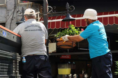 Yalova Çiçek Açıyor