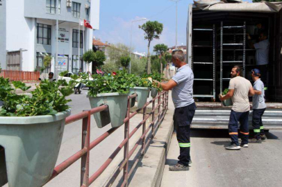 Şehit Ömer Faydalı Caddesi Çiçek Açtı