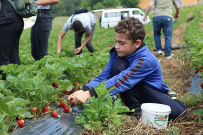 ÇKS Başvuruları 31 Aralıkta Sona Erecek