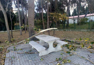 Lodos Kırdı Geçirdi