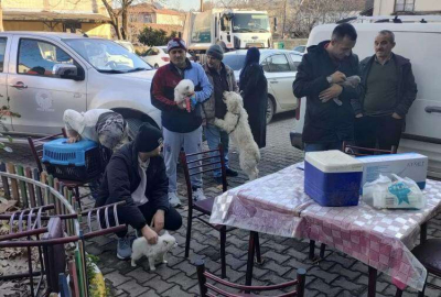 Köylerdeki Kedi Ve Köpeklere Çip Takılmaya Devam Ediliyor