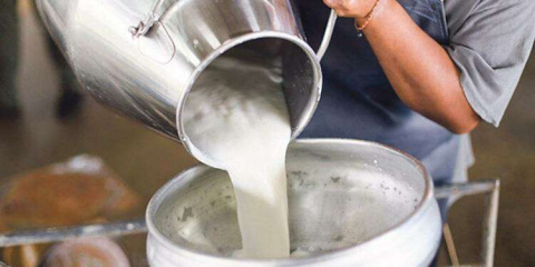 Çiğ Süt Tebliği Yayınlandı