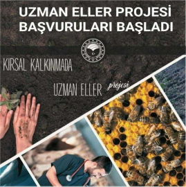 Uzman Eller Projeleri Başvuruları Başladı