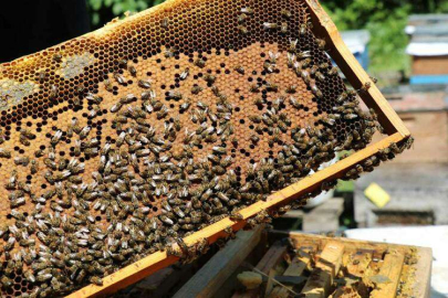 2 Kamu Görevlisi Tutuklandı