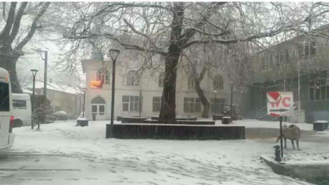 Mart Ayında, “Kar” Sürprizi