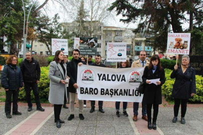 “Hayvanların Yaşamı Teminat Altına Alınmalıdır”
