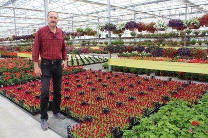 Süs Bitkileri Sektöründe Anneler Günü Telaşı