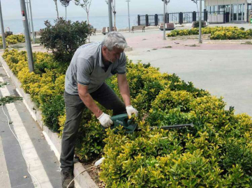 Park Ve Bahçeler Yaz Hazırlığı 