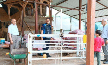 Altınova’da Kesim Yerlerine Sıkı Denetim