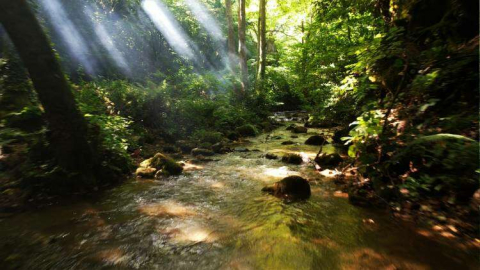 Kapılı Çınar Mesire Alanı Tabiat Parkı Olmaya Aday