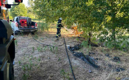 Çiftlikköy’de Çıkan Arazi Yangını Korkuttu