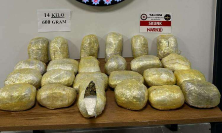 14 Kilo 600 Gram Skunk Ele Geçirildi