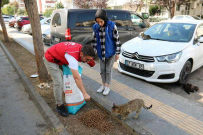 Yalova Gençlik Merkezi’nden Sokak Hayvanlarına Destek