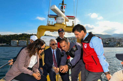 Vali Kaya Midye Hasadına Katıldı