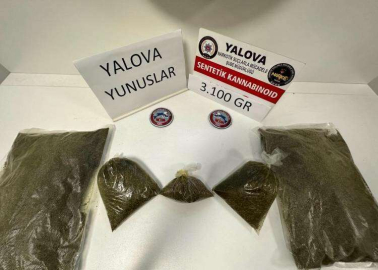 3 Kilo Bonzai Ele Geçirildi