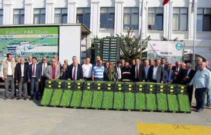 Çiftçilere 595 Bin Adet Fide Dağıtıldı